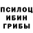 Псилоцибиновые грибы мицелий Boris Zindels