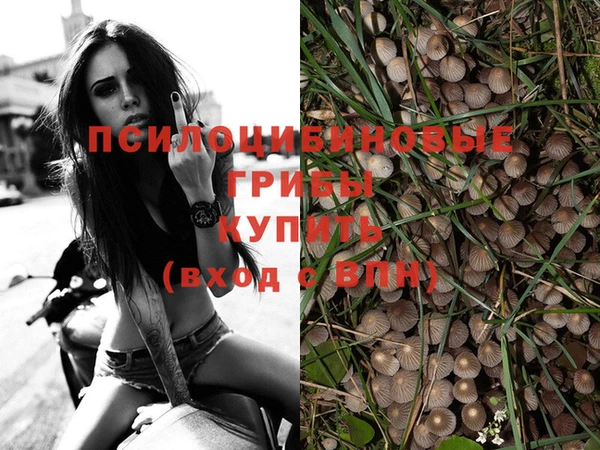 стафф Верхнеуральск
