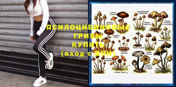 стафф Верхнеуральск