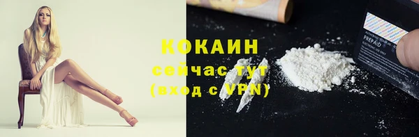 PSILOCYBIN Верея