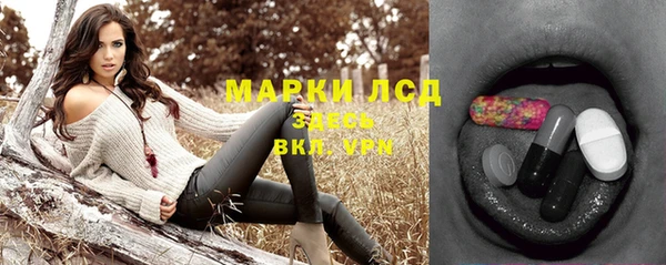 PSILOCYBIN Верея