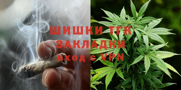 PSILOCYBIN Верея