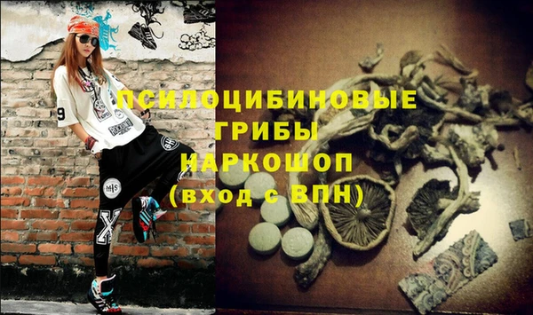ALPHA-PVP Верхний Тагил